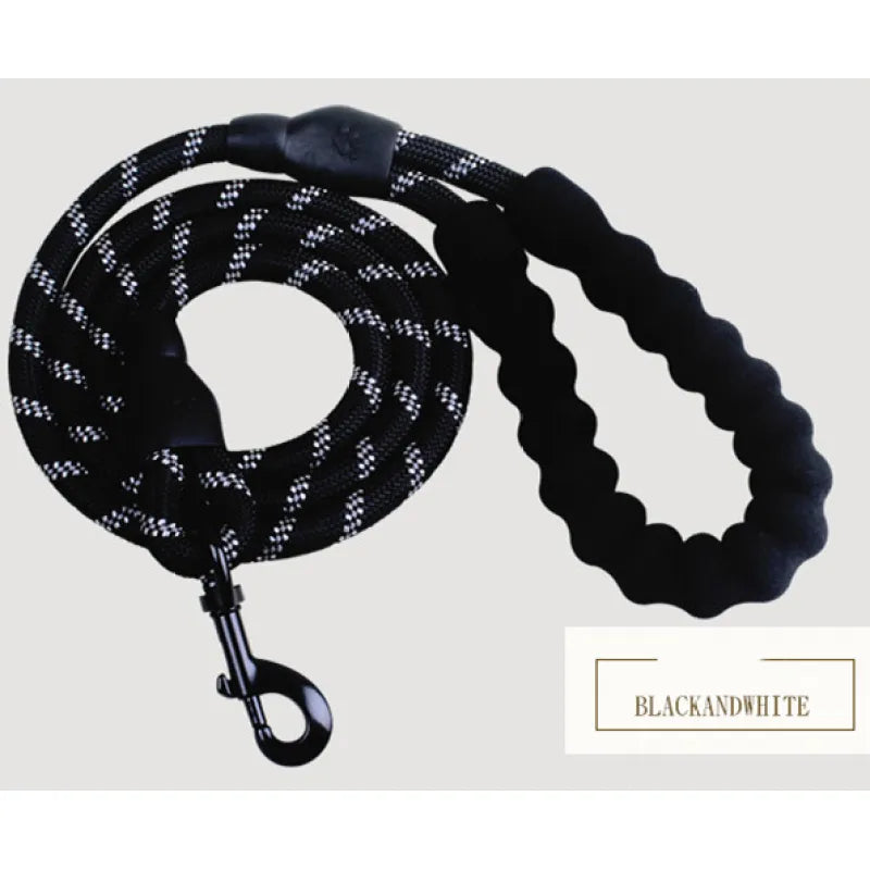 Reflective Nylon Dog Leash for All Sizes