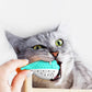 Cat Teaser Toothbrush Toy