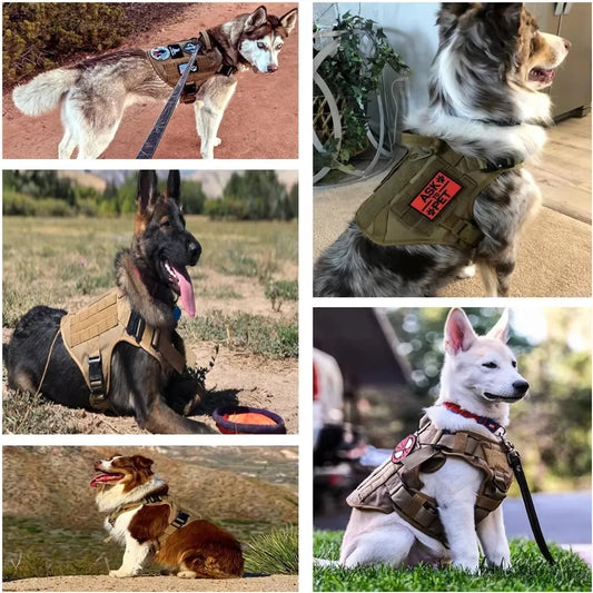 Luxury Camouflage Dog Harness & Leash Set