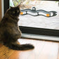 Windowsill Cat Track Ball Toy