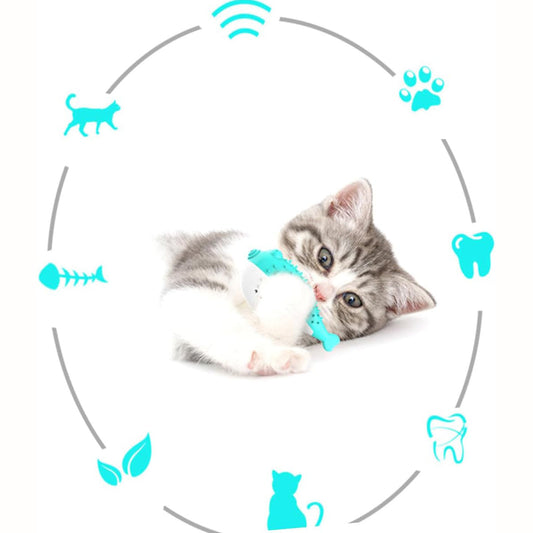 Cat Teaser Toothbrush Toy