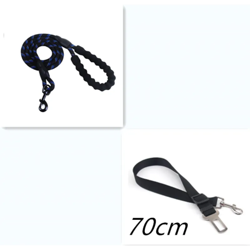 Reflective Nylon Dog Leash for All Sizes