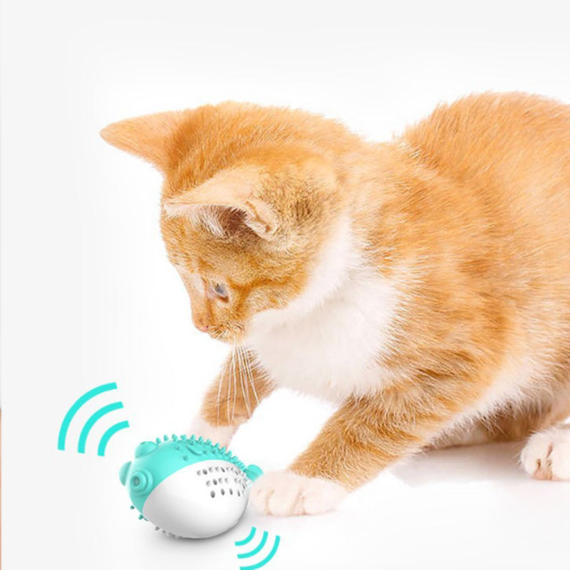 Cat Teaser Toothbrush Toy